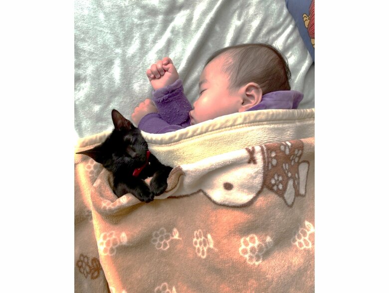 提供：ゴンゾウR4さん