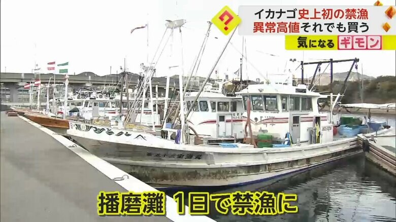 不漁の影響でわずか1日で禁漁になった播磨灘