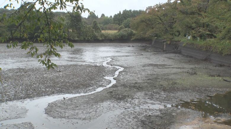 ため池の水を抜いて渡り鳥対策（2024年）