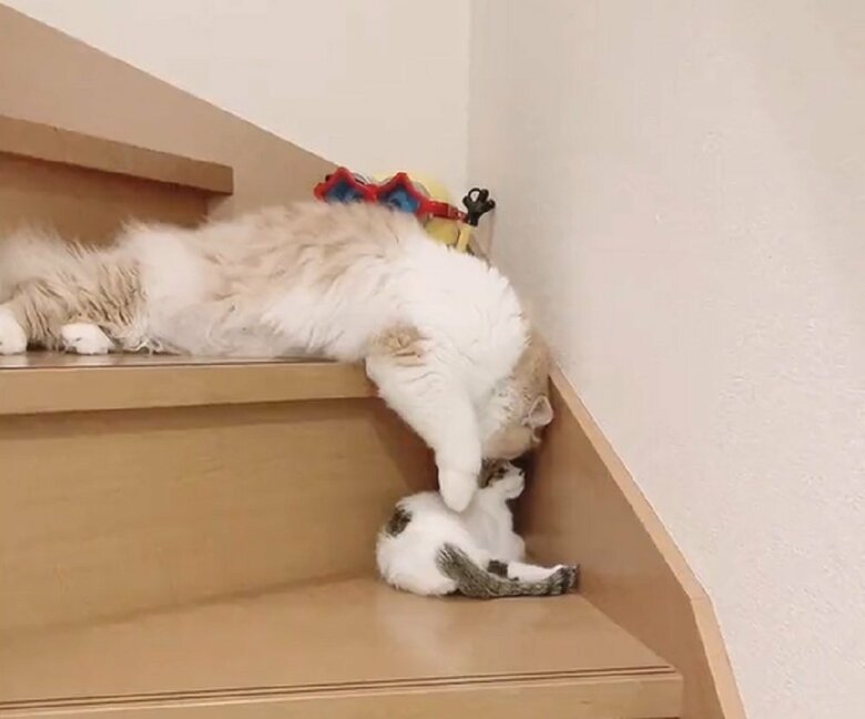 そのまま顔面をぷん太郎くんにピタリ