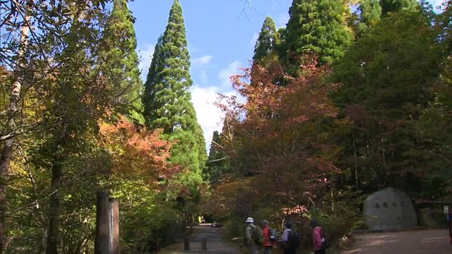秋色に染まる風景…岡山県立森林公園で紅葉見頃【岡山・鏡野町】