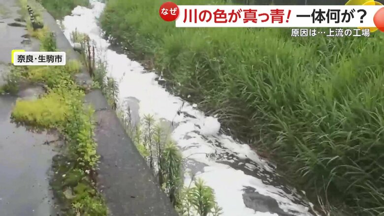 なぜか泡だらけの川（提供：生駒市役所）