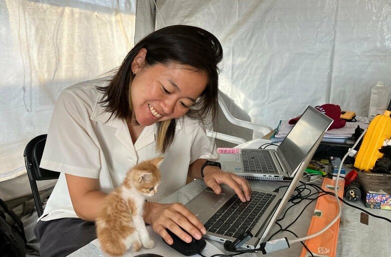 MSF提供：ガザ中部のオフィスでネコに癒される村元さん