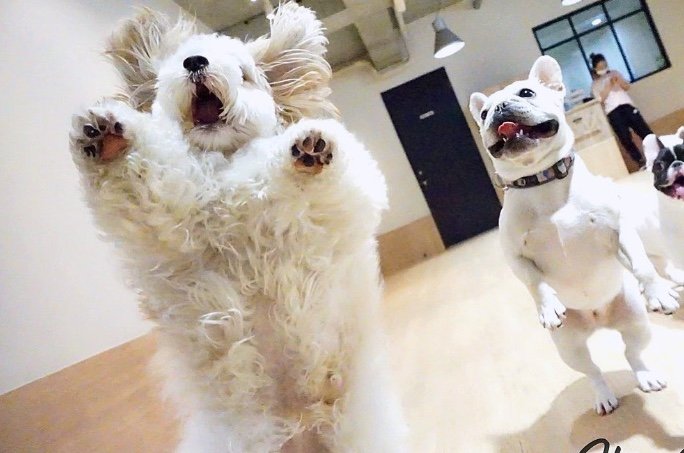 提供：宮原幸恵さん