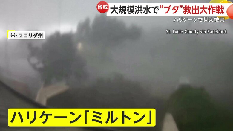 ハリケーン「ミルトン」によって被害を受けたフロリダ州