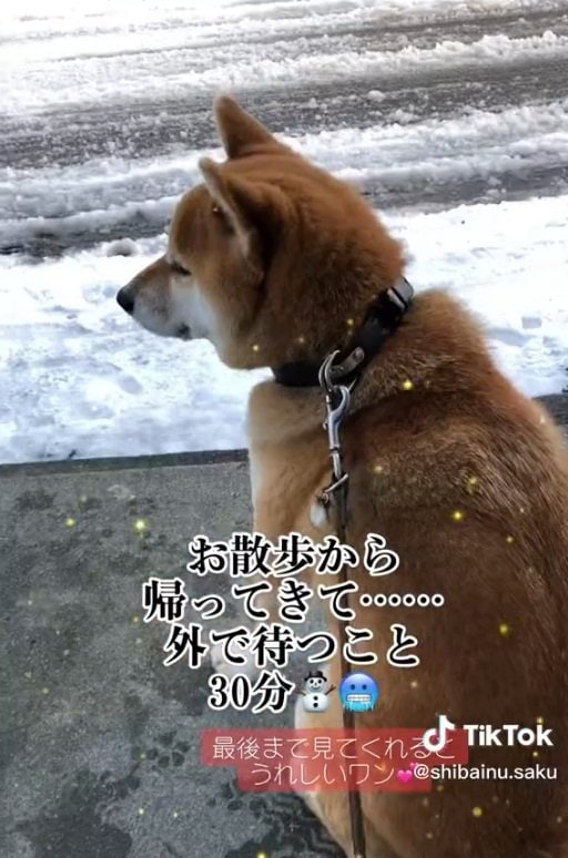 場所を変えてもじーっと待つ