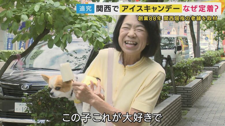 犬も大好きアイスキャンデー