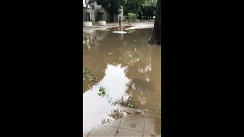 取材の3日前、台風の影響で公園は水浸しに（水渡さん撮影）