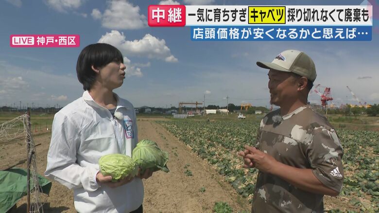 「旬感LIVE とれたてっ！」より