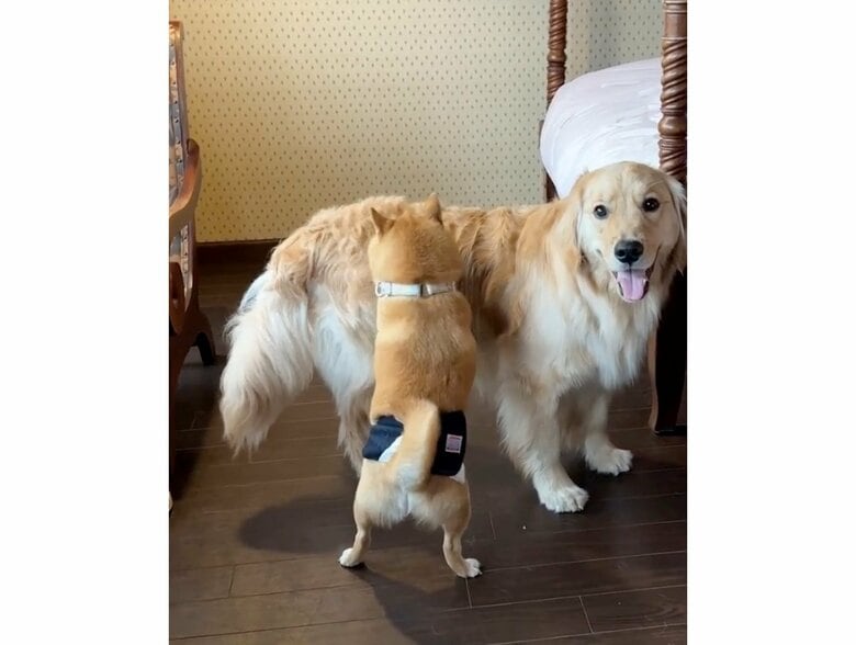 提供：うにandおからさん