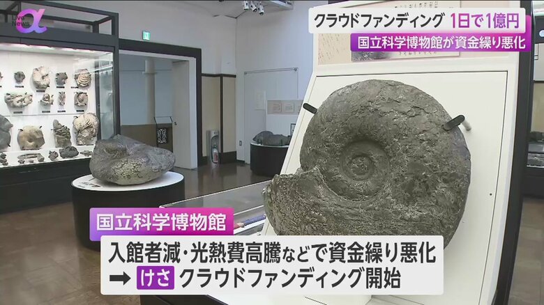 国立科学博物館の展示品