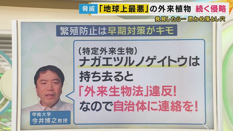 甲南大学 今井博之教授