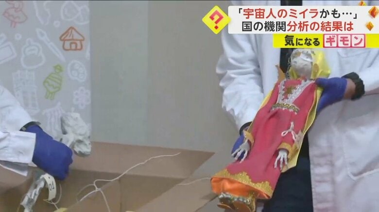 手袋をつけて慎重に取り出される宇宙人かもしれない人形