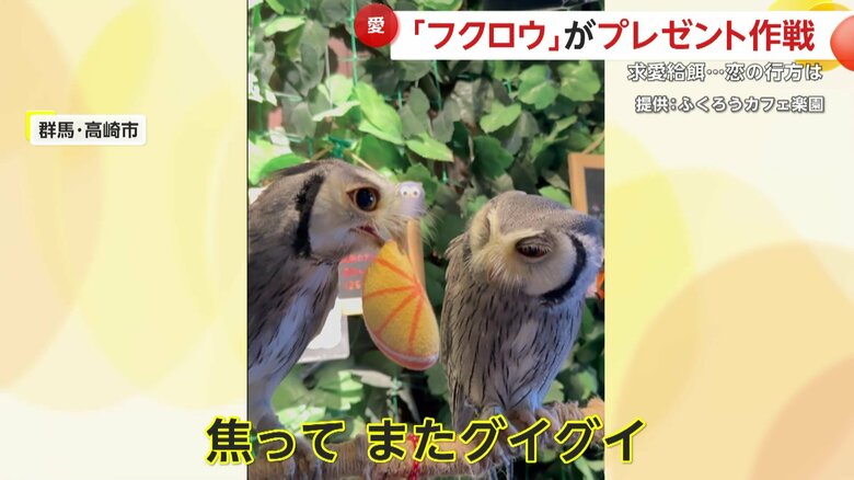 はやる気持ちを抑えられないミカンくん