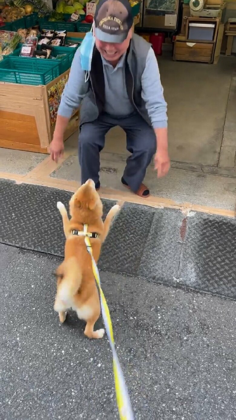 今日はここまでとおっちゃんとのなでなでタイムは終了