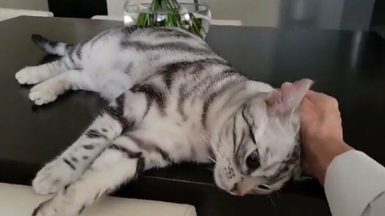 お父さんでも甘えたいときはある