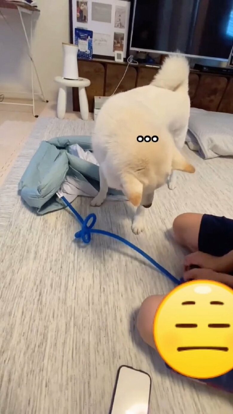 しかし、なかなか膨らまないビニールプール