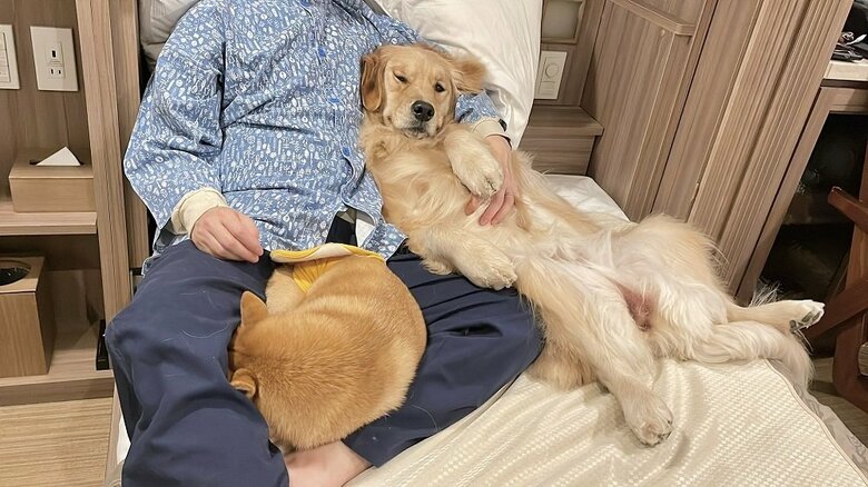 それぞれの位置にすっぽり