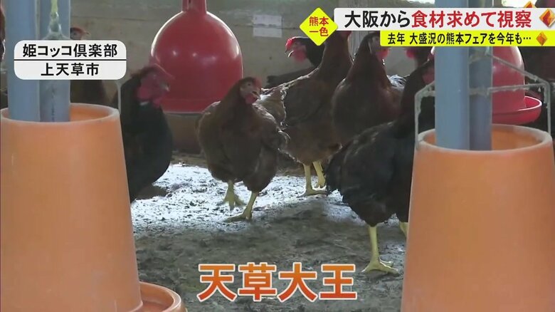 姫コッコ倶楽部（熊本・上天草市）