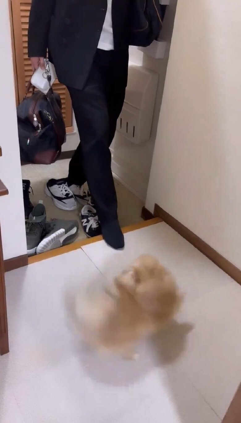 くるくる