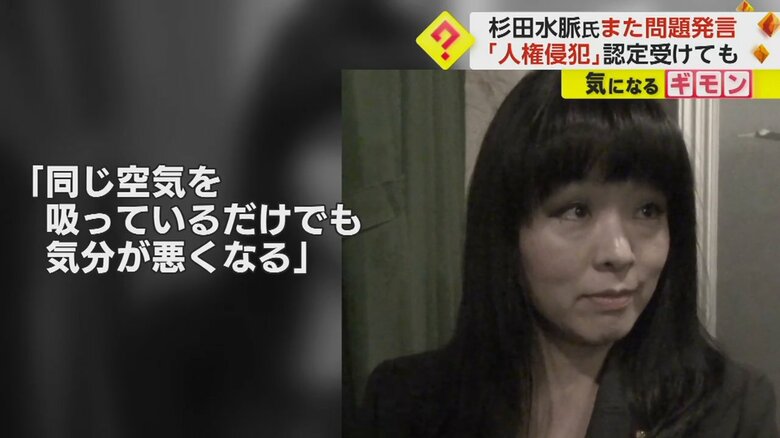 国連の会議に参加した際には、SNSで差別的発言をした杉田水脈衆議院議員