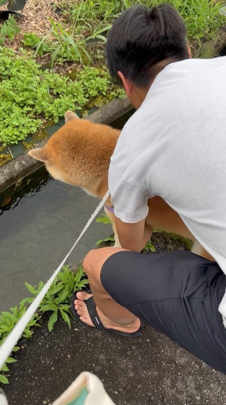 提供：柴リアンハスキーもちごめ兄弟さん