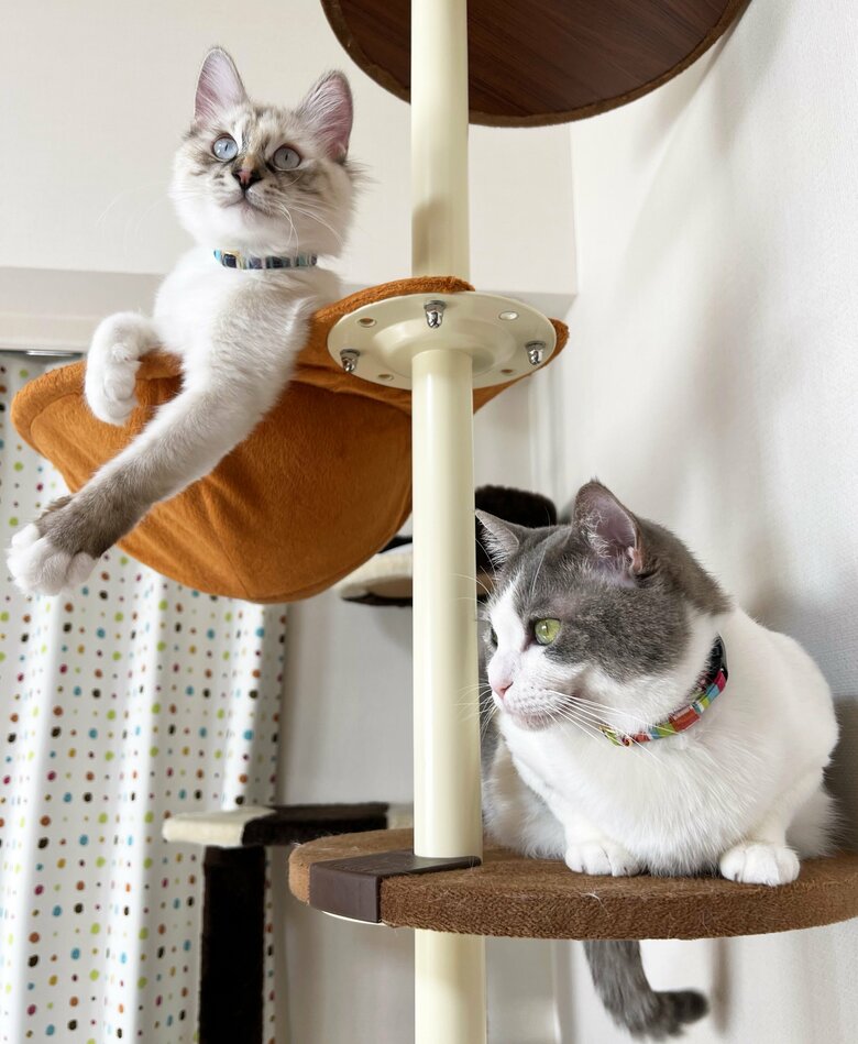 提供：いずもん/まろ様さん