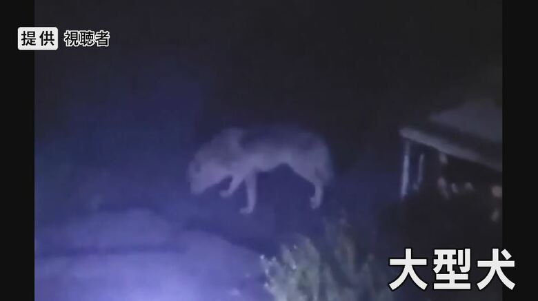 住民撮影（長野県富士見町）