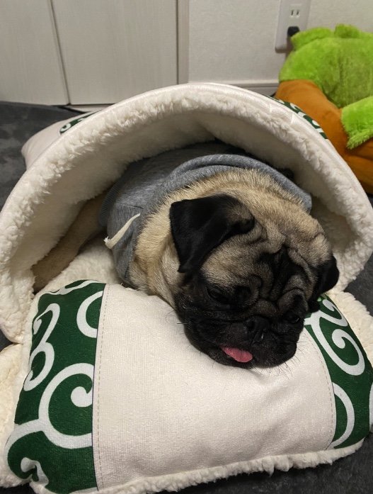 提供：ボンさん