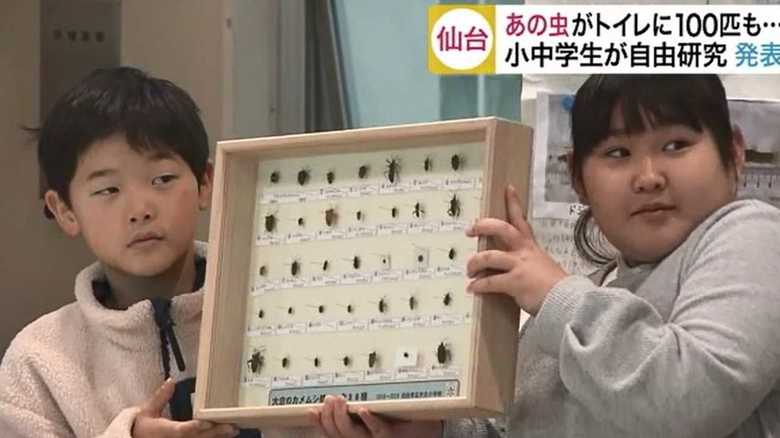 あの虫がトイレに100匹も…! 小中学生が自由な発想の研究成果を発表【宮城発】