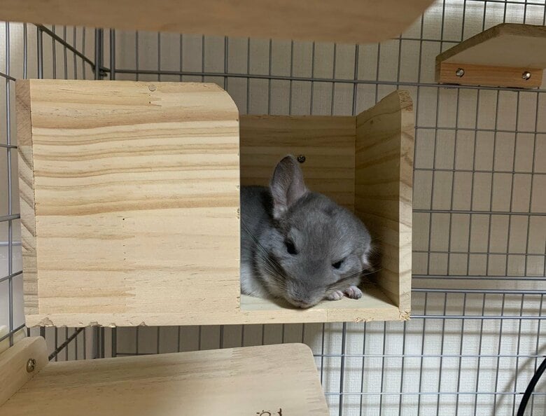 提供：金太郎の日常さん