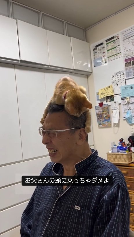 提供：cohakuさん