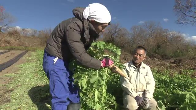 自然の力をいかして育った立派なダイコン