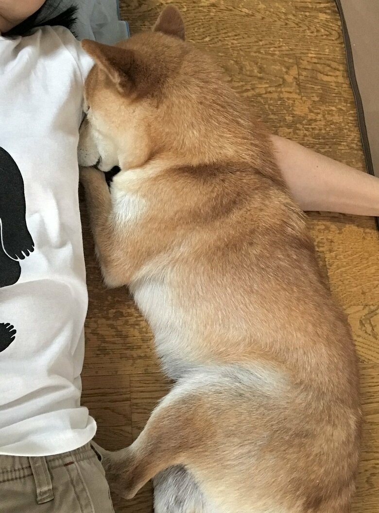 雷におびえて腕枕に