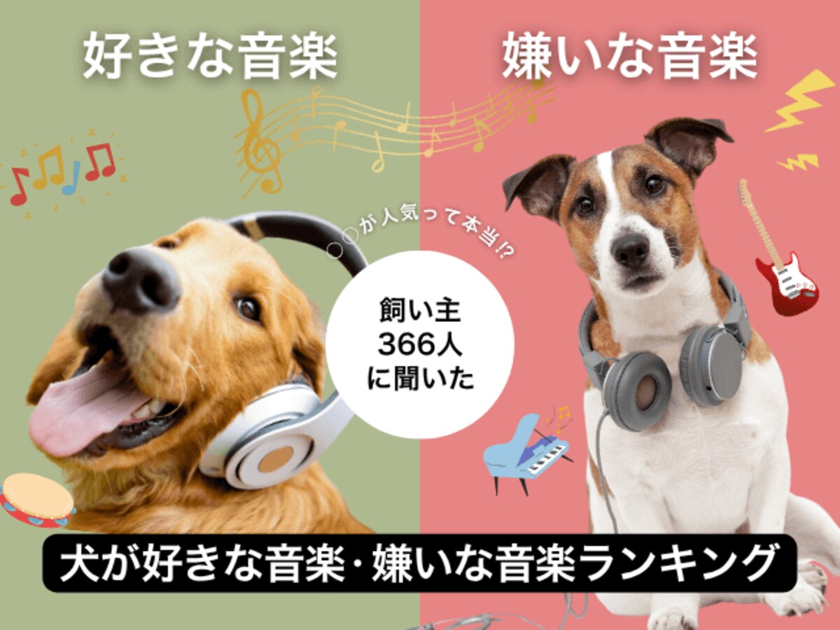 img_af2d1555694b98fc0b7f9b885a