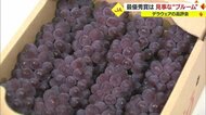生産量日本一を誇る「デラウェア」・最優秀賞に選ばれたブドウには新鮮さを表す白い粉“ブルーム”がしっかり残る…【山形発】