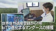 外来種から守れ…マングース対策最前線 IoT活用で変わる「やんばるの森」【沖縄発】