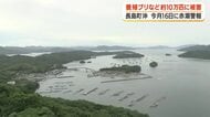 長島町沖で養殖ブリなど約10万匹被害　6月16日に赤潮警報　