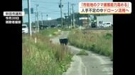 ドローン活用で市街地に出没したクマの捕獲力向上へ　鈴木知事が方針示す　秋田