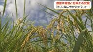 「6000円も下げられたらどうしようか」コメの概算金の大幅下落、富山の農家が経営と将来を不安視