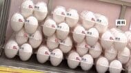 卵の高値は年末まで続く見通し　9月の全国平均小売価格は過去最高　1パック309円　冬にかけて需要高まる
