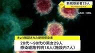 「再び増加の恐れも」 沖縄でコロナ新規感染者29人