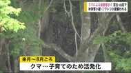 クマによる被害相次ぐ 宮古市・山田町で 注意呼びかけ 6月から8月頃はクマの活動が活発化 【岩手県】