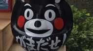 熊本地震から1年半。がまだせ!子どもたち