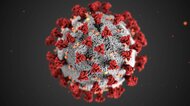 世界で“コロナ死”370万人の悲劇「だれが責任を取ってくれるんだ!」ウイルス起源の徹底究明が再発防止の鍵