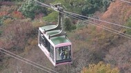 “空中散歩”で絶景を満喫 岩と断崖からなる日本三大渓谷美「寒霞渓」の紅葉 見頃【香川・小豆島町】