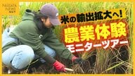 “米の輸出拡大”へ外国人向け米どころ新潟で農業体験モニターツアー「日本の文化や食に興味ある人多い」