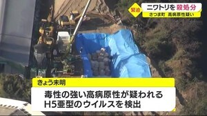 鹿児島・さつま町の養鶏場で高病原性が疑われる鳥インフル検出 約3万3000羽を殺処分へ
