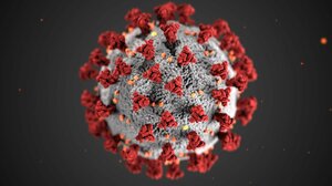 世界で“コロナ死”370万人の悲劇「だれが責任を取ってくれるんだ!」ウイルス起源の徹底究明が再発防止の鍵