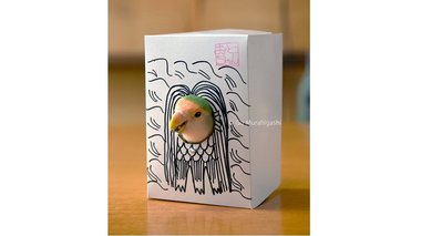 かわいい“アマビエ”インコが新型コロナを撃退!? 箱にすんなり入ったのか飼い主に聞いた